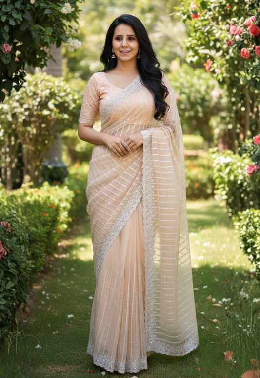 Light beige organza saree with intricate silver stonework and embroidery
